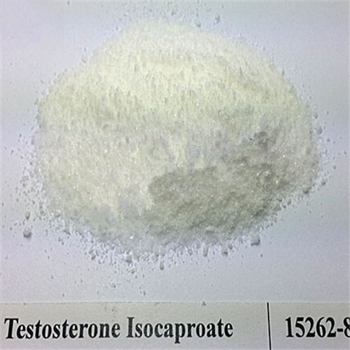 Testosterone Isocaproate